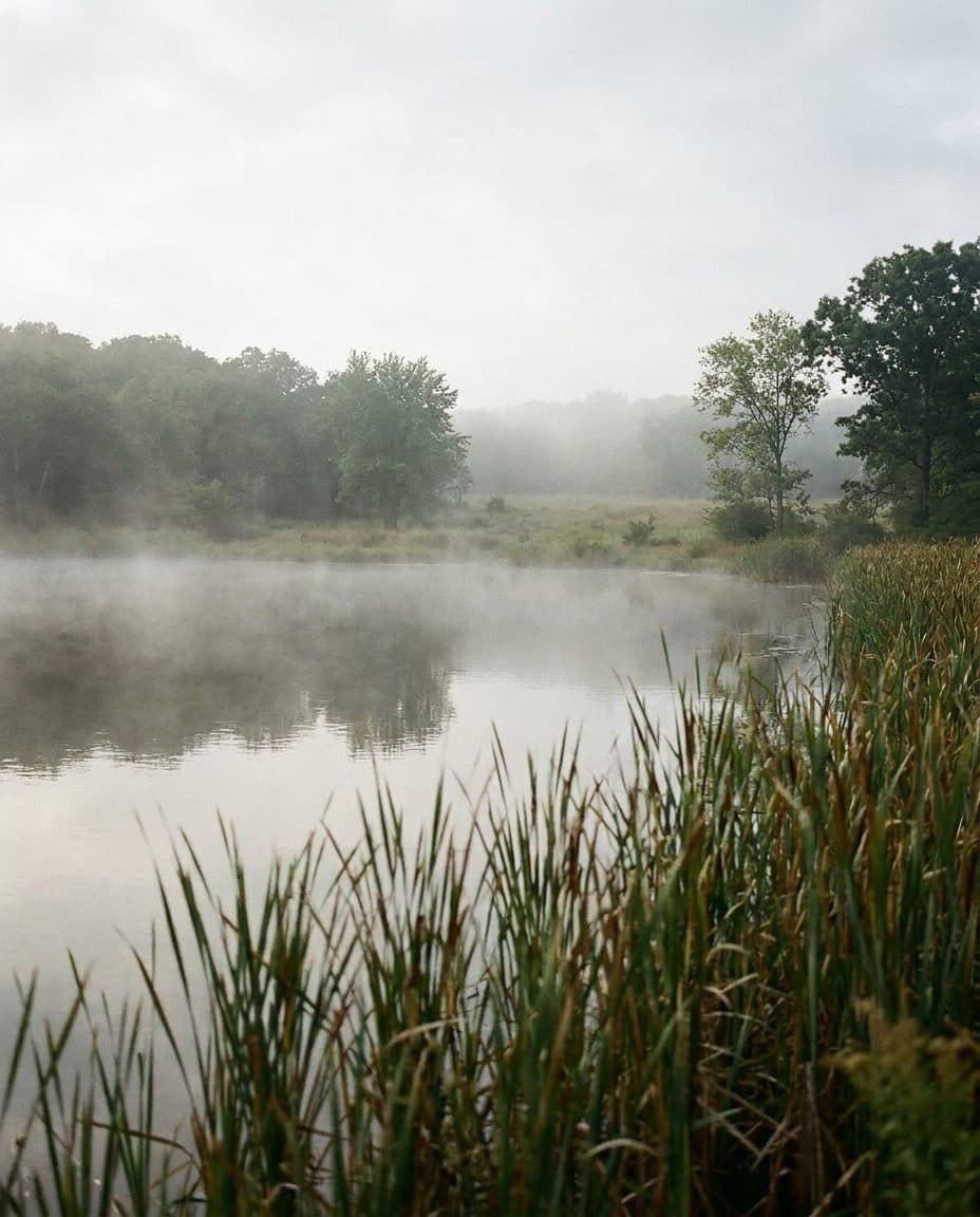 A Weekend Morning in Pelham Bay Park That Does Not Feel Like New York - scene