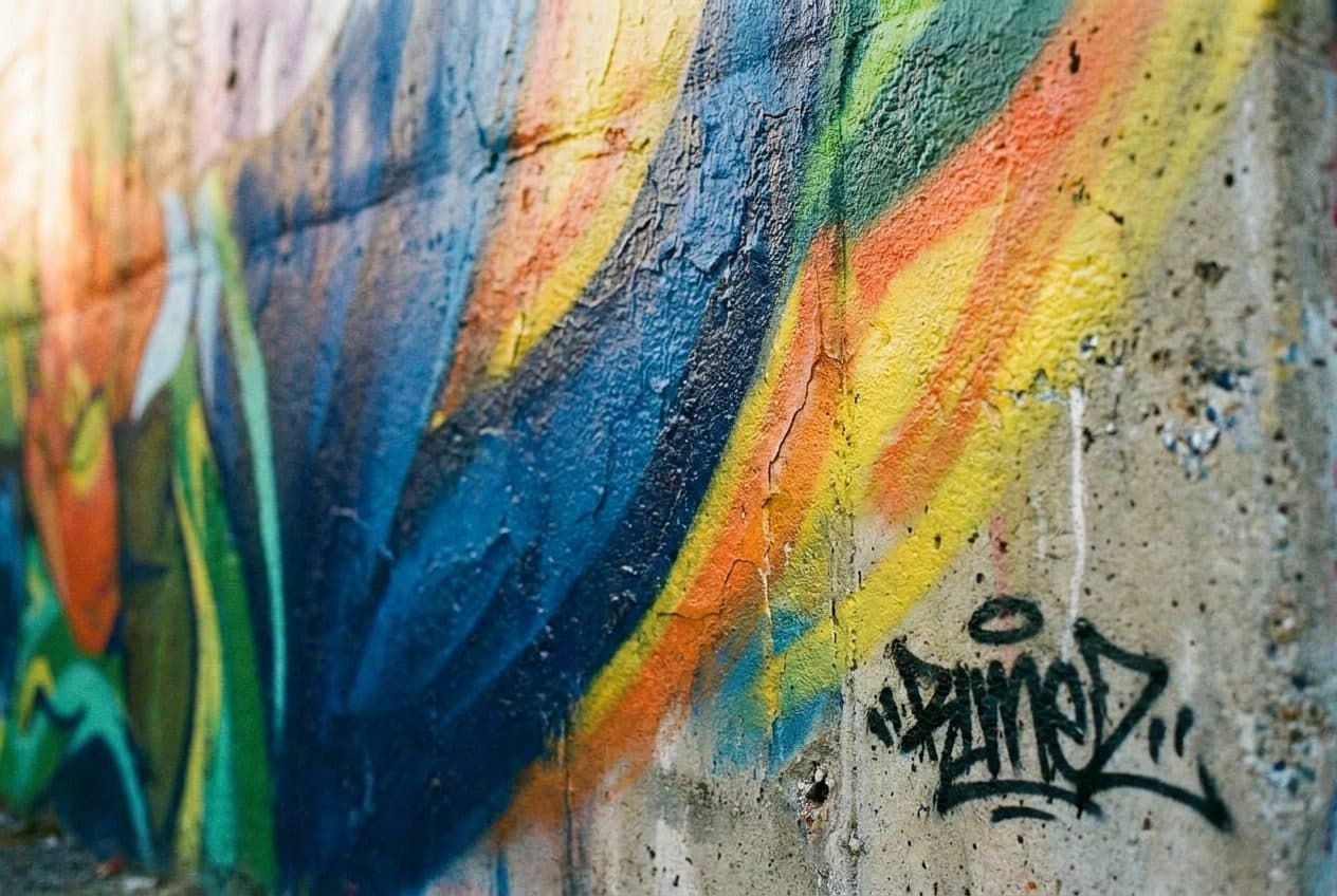 A Weekend in Soundview Where the Riverfront Parks Meet the Changing Bronx - scene