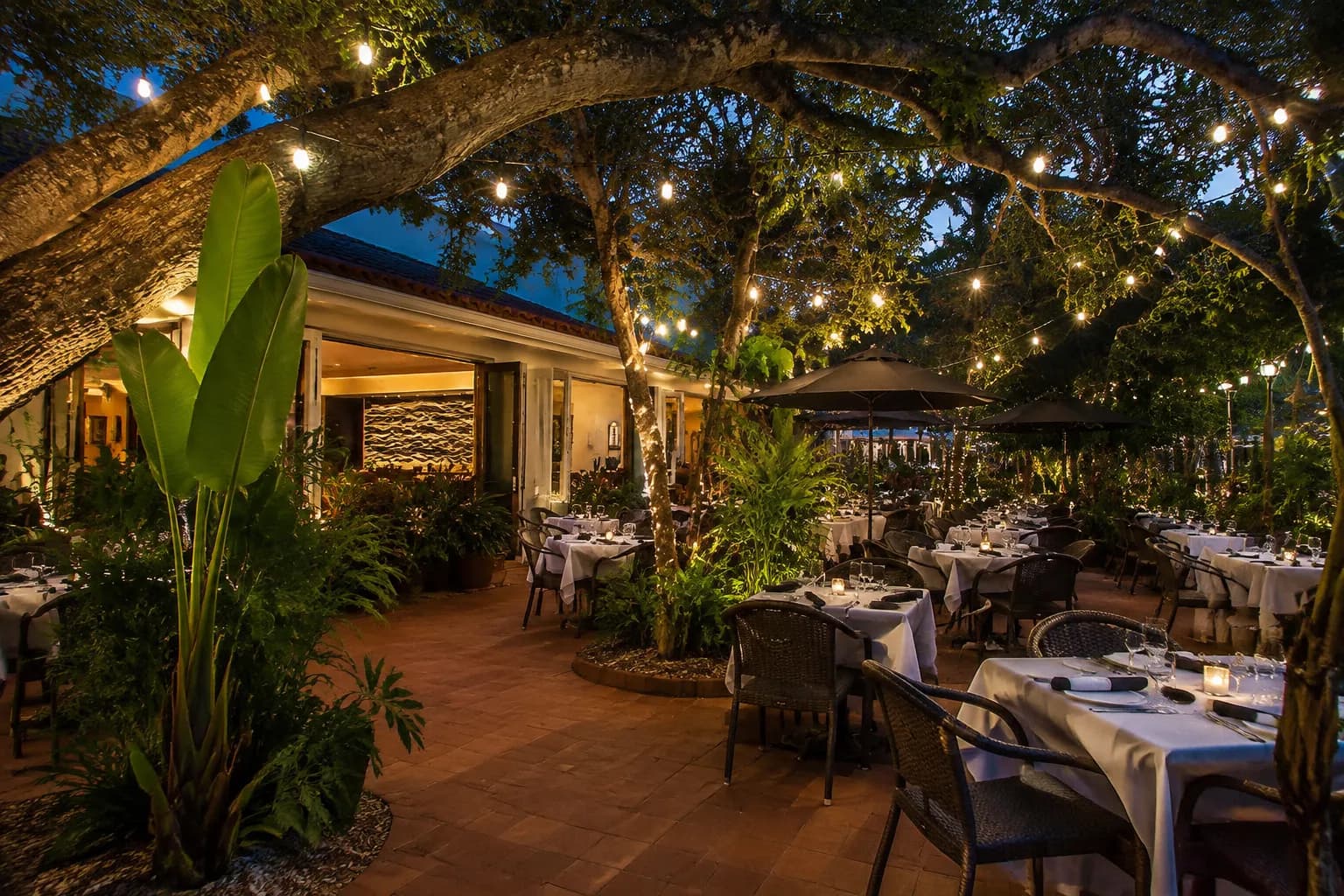 Evening patio dining scene in Coconut Grove with string lights and live oak trees at dusk