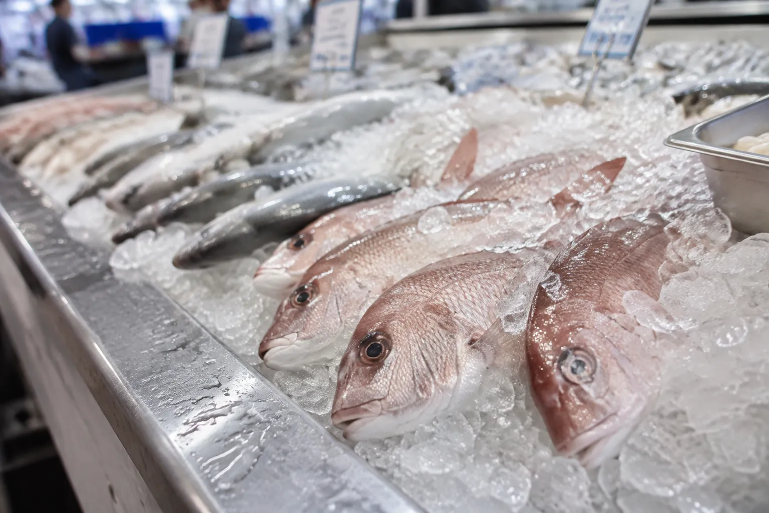 Fresh seafood display on ice at Grand Central Market in downtown Los Angeles