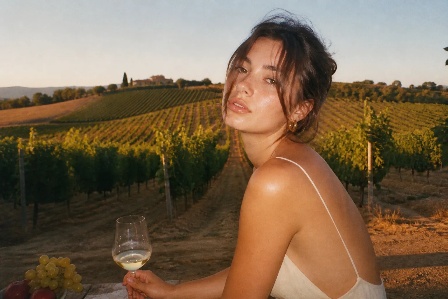 Rows of grapevines glowing under a golden-hour sky with rolling hills in the distance